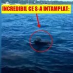 Toată lumea a rămas uimită când l-a văzut intrând în apă. Ce a scos la mal a impresionat milioane