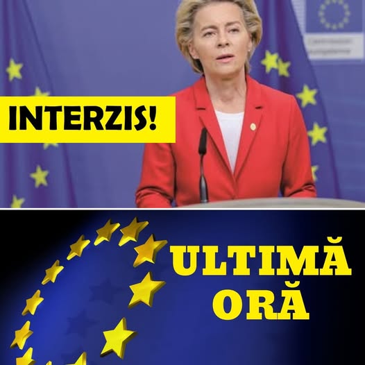 Comisia Europeană avertizează: fiecare cetățean trebuie să supraviețuiască singur timp de 72 de ore în caz de criză