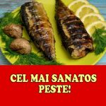 Macroul – superalimentul din mare care întrece orice supliment. Beneficiile uimitoare pentru inimă, creier și metabolism