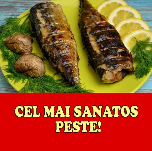 Macroul – superalimentul din mare care întrece orice supliment. Beneficiile uimitoare pentru inimă, creier și metabolism
